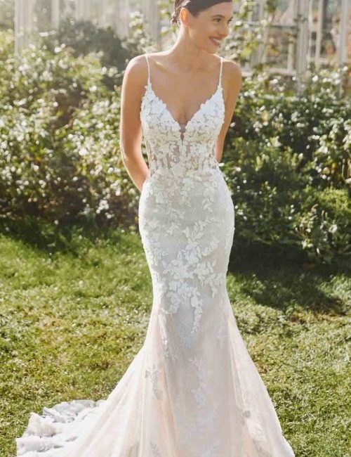 ALBERTO-PALATCHI_AVANCE-2025_MARY_188-500x889